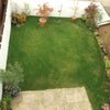Photo 4: garden
