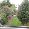 Photo 3: garden from bedroom