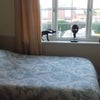 Photo 3: Comfortable double room