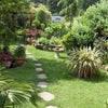 Photo 2: Back garden