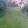 Photo 5: Garden