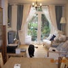 Photo 3: Dining / Living Room