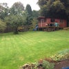 Photo 5: back garden