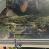Photo 3: View from bedroom