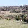 Photo 2: Surrounding View