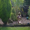 Photo 3: A corner fo the garden