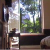 Photo 2: garden view from bedroom