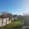 Photo 4: Garden