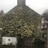 Photo 5: Birdseye view from the bedroom window