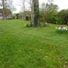 Photo 2: Big Garden Area