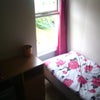 Photo 3: Single bedroom