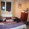 Photo 5: Bedroom