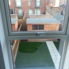 Photo 3: garden