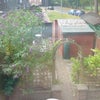 Photo 7: Garden