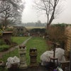 Photo 6: Garden