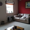 Photo 4: Living Room