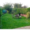 Photo 9: Large garden and patio 