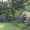 Photo 4: Back Garden