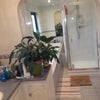 Photo 4: Bathroom/shower