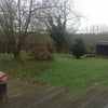 Photo 3: Garden