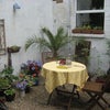 Photo 2: Garden