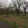 Photo 6: 1 minute walk to park 