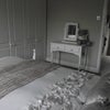 Photo 7: Room available