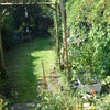 Photo 5: 60 foot garden
