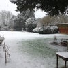 Photo 5: snow garden