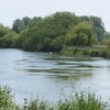 Photo 2: River Avon