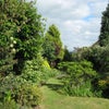 Photo 3: Outdoor space
