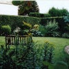Photo 5: Front Garden
