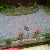 Photo 5: back garden
