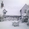 Photo 3: Even in winter it's cute! Your room: top right.