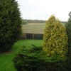Photo 7: Rear Garden & Views