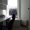 Photo 3: Study