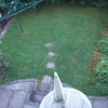 Photo 5: Patio & rear garden