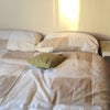 Photo 5: Double divan bed.