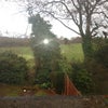 Photo 3: Golf Range garden view