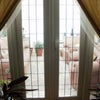 Photo 5: Conservatory