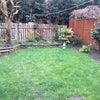 Photo 5: garden