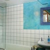 Photo 7: Bathroom Shower over Bath