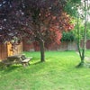 Photo 3: Garden