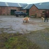 Photo 2: The yard
