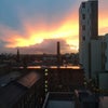 Photo 3: window view 