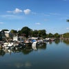 Photo 5: Twickenham riverside less than 5 mins walk!