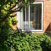 Photo 5: Garden 2