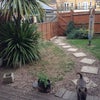 Photo 3: Garden