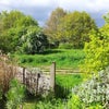 Photo 3: Garden view