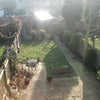 Photo 5: Garden